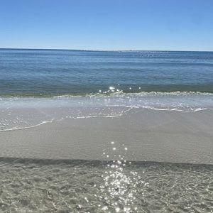 Meet your Posher, Dan